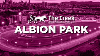 Form Anlaysis: Albion Park February 14